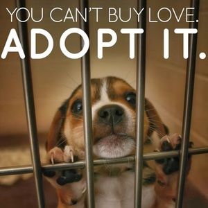 Meet your Posher, Bryan